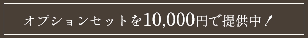 オプションセットを10,000円で提供中！