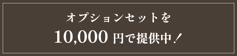 オプションセットを10,000円で提供中！